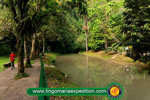 salida del rio perdido  en el ingreso al parque nacional de tingo maria